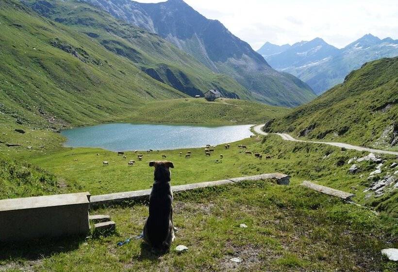 Отель Schwarzbachhof