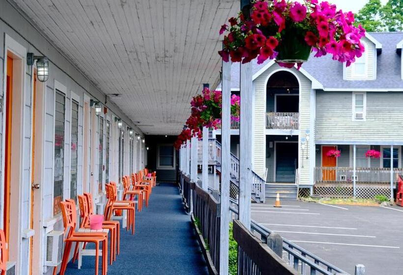 فندق على الطريق Dock House Inn