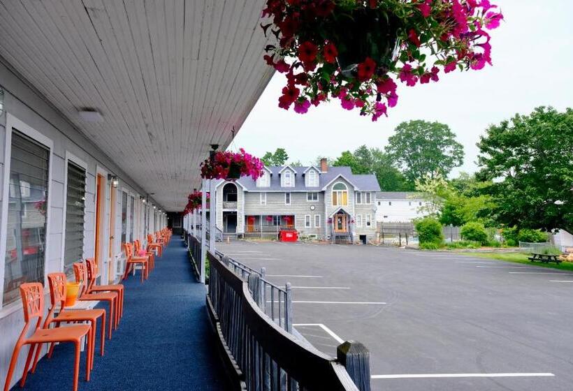 فندق على الطريق Dock House Inn