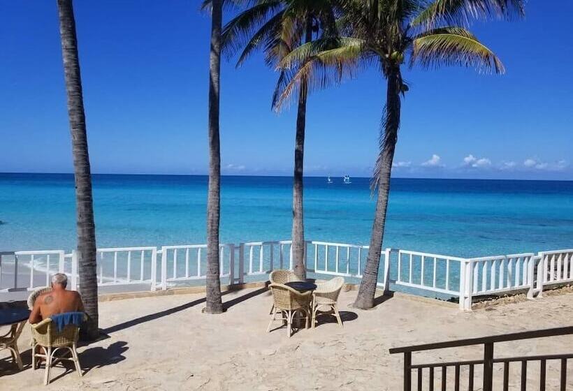 تختخواب و صبحانه Hostal Mimi's Palace