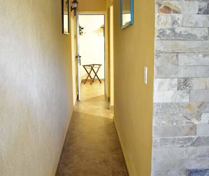 تختخواب و صبحانه Hostal Mimi's Palace