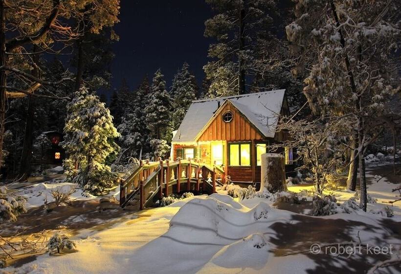 Отель Arrowhead Pine Rose Cabins