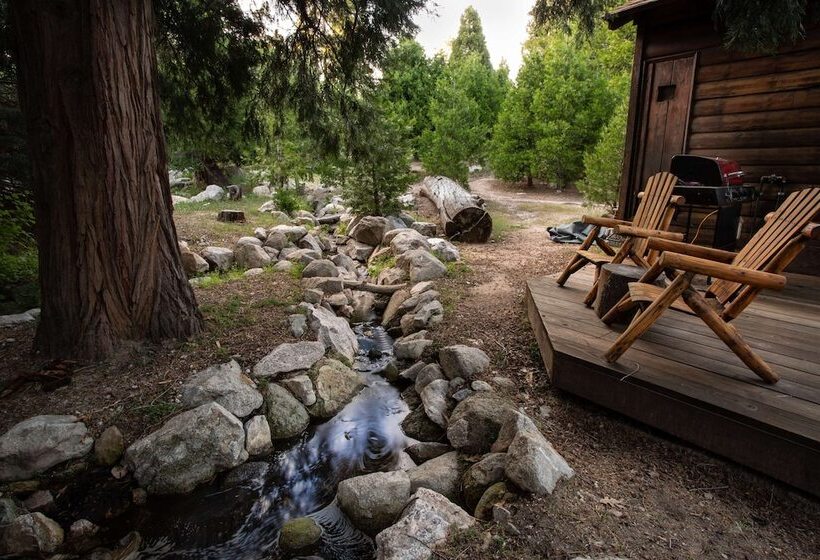 Отель Arrowhead Pine Rose Cabins