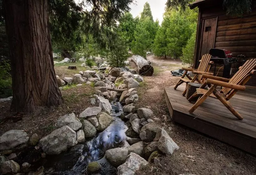 Hotelli Arrowhead Pine Rose Cabins