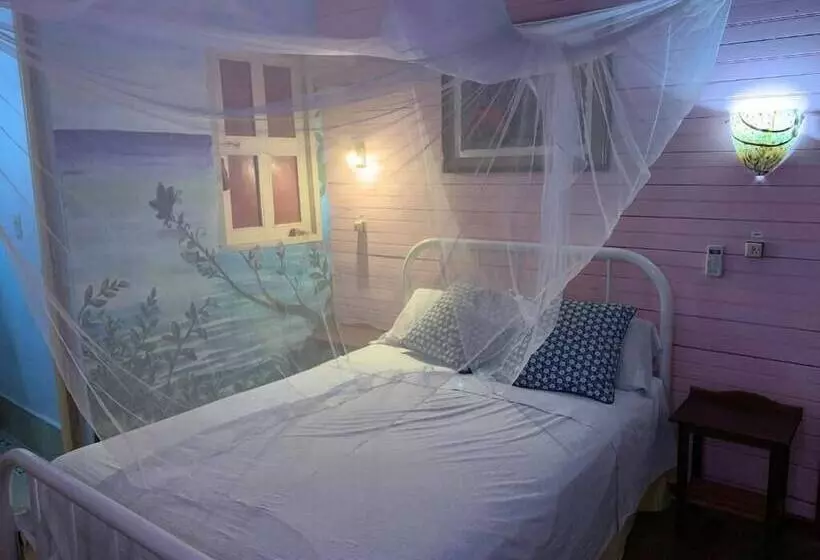 ペンション Bs & Hostal Luz Del Norte