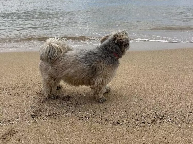 اقامتگاه Unique House In An Idyllic Situation On A Beach