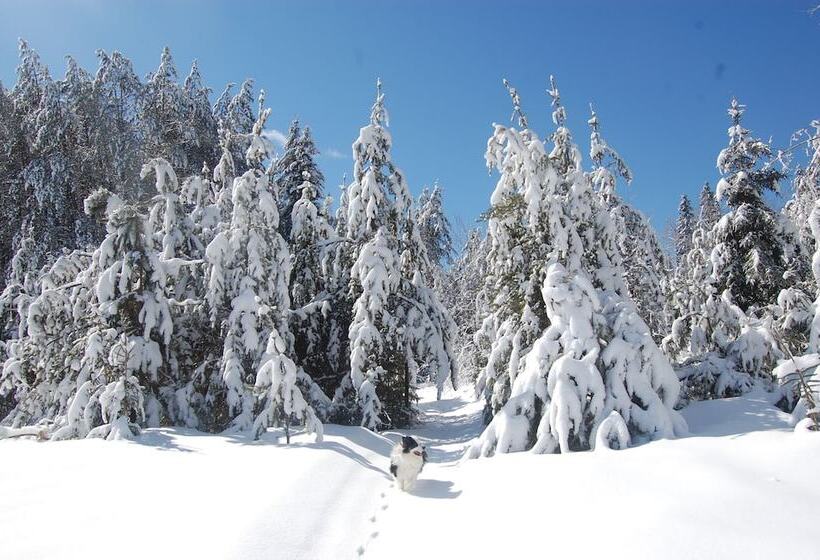 渡假胜地 Domaine Le Bostonnais