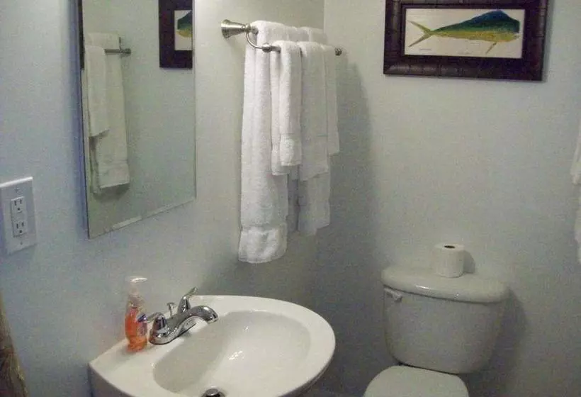 ホテル Matlacha Cove Inn