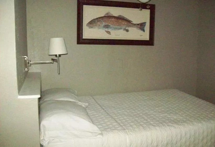 ホテル Matlacha Cove Inn