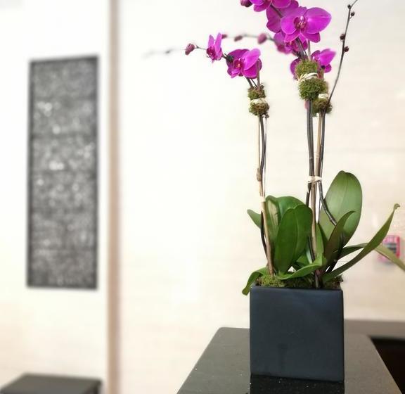 호텔 Wyndham Garden Fresh Meadows Flushing