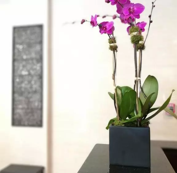 Hotelli Wyndham Garden Fresh Meadows Flushing