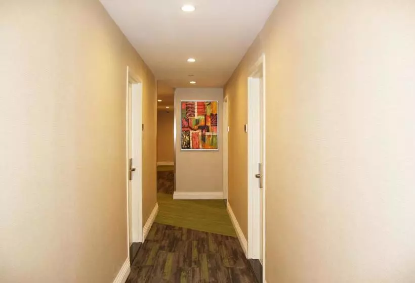 Hotelli Wyndham Garden Fresh Meadows Flushing