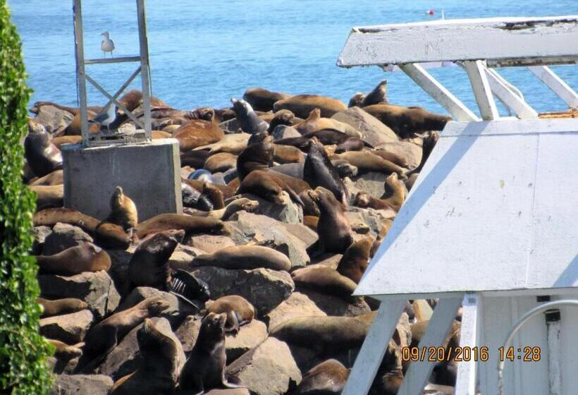 فندق على الطريق The Waldport Inn