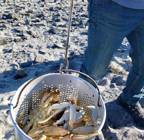 فندق على الطريق The Waldport Inn