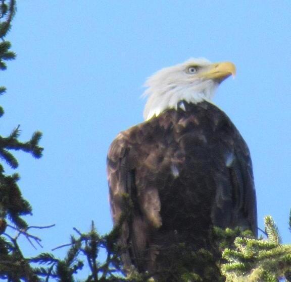 فندق على الطريق The Waldport Inn