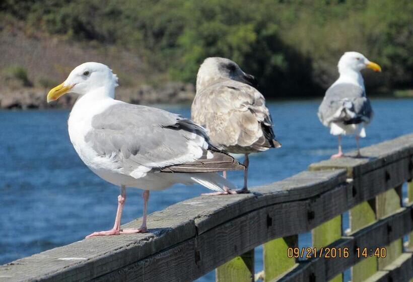 فندق على الطريق The Waldport Inn