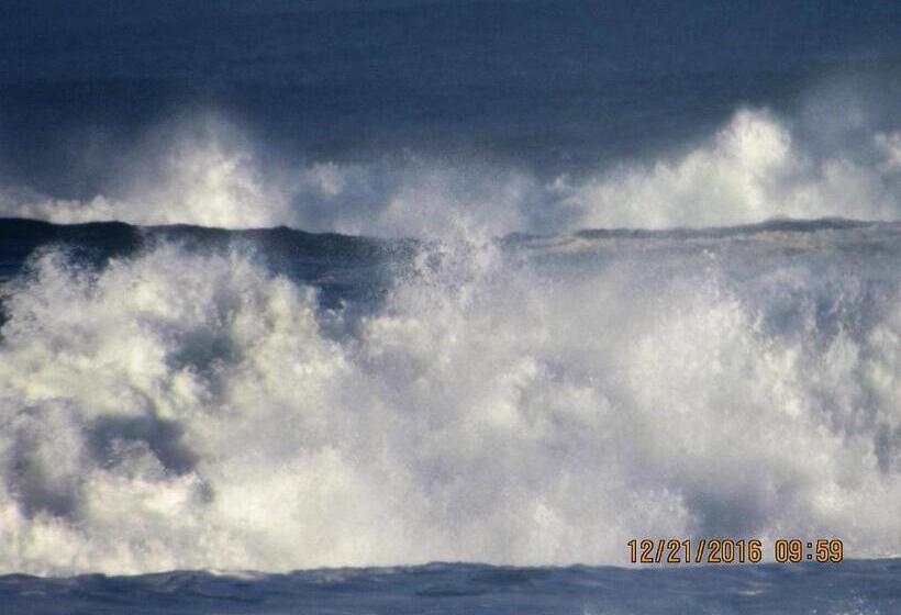 فندق على الطريق The Waldport Inn