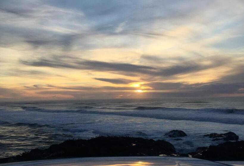 فندق على الطريق The Waldport Inn