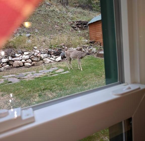 Trails End Cabins & Motel