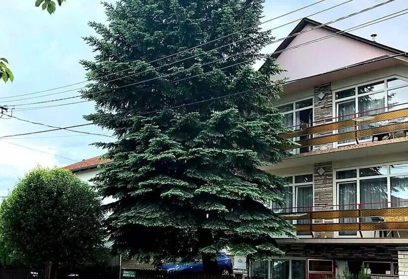 Hotelli Apartment Rideg Hévíz