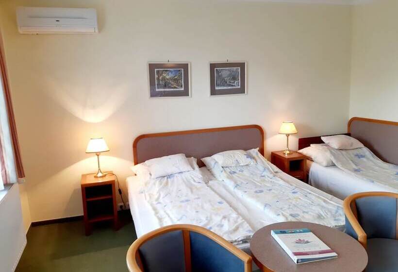 Hotel Apartment Rideg Hévíz