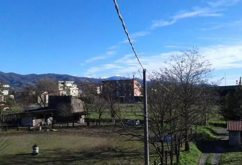Buio Pesto B&b