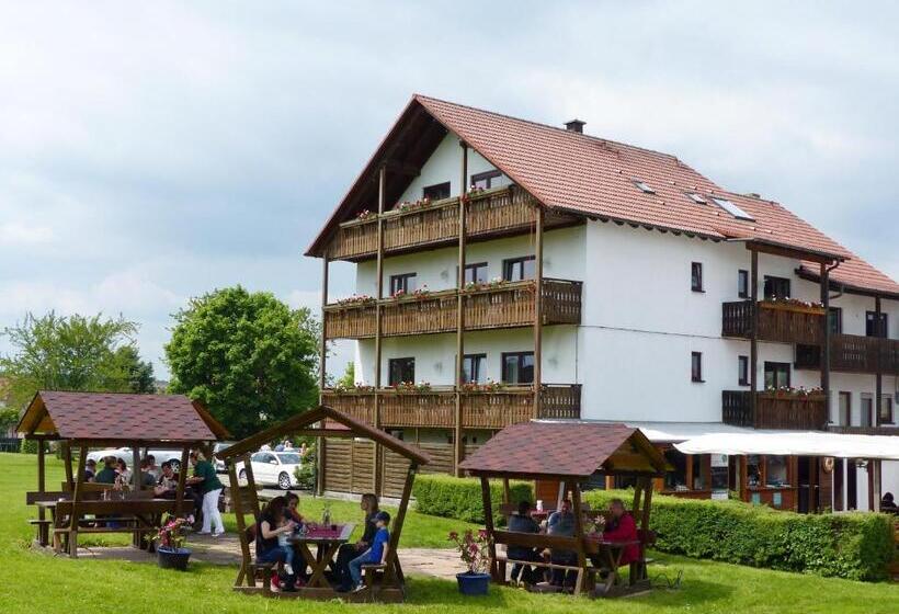 בית מלון כפרי Grüner Baum