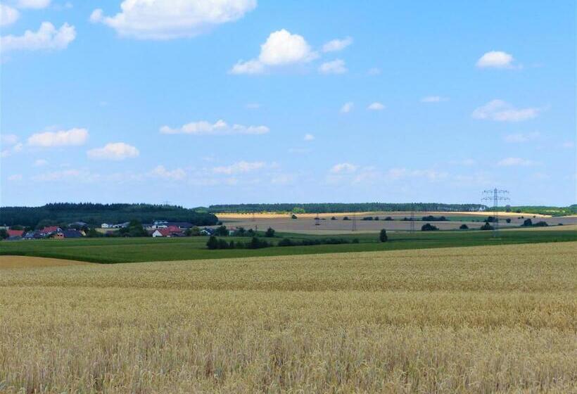 בית מלון כפרי Grüner Baum
