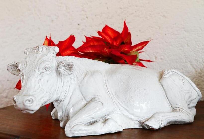 호텔 Hacienda Panoaya