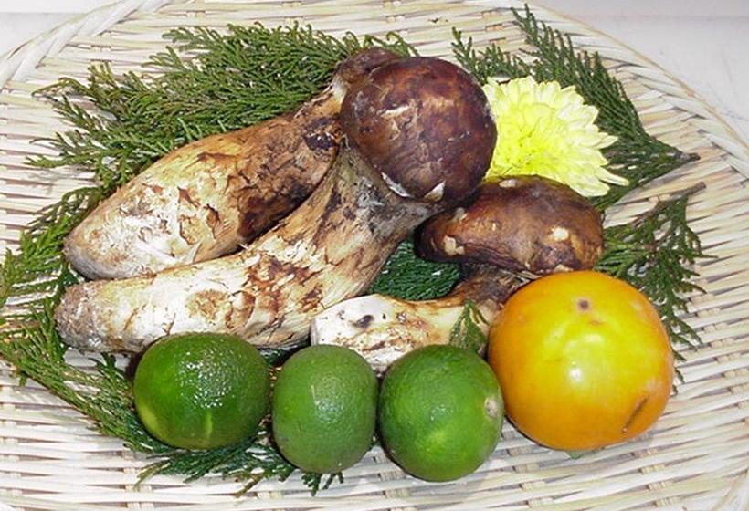 Kappo Ryokan Suimeisou