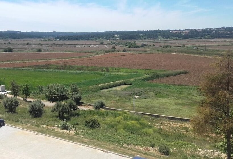 Palace Hotel & Spa Termas Do Bicanho