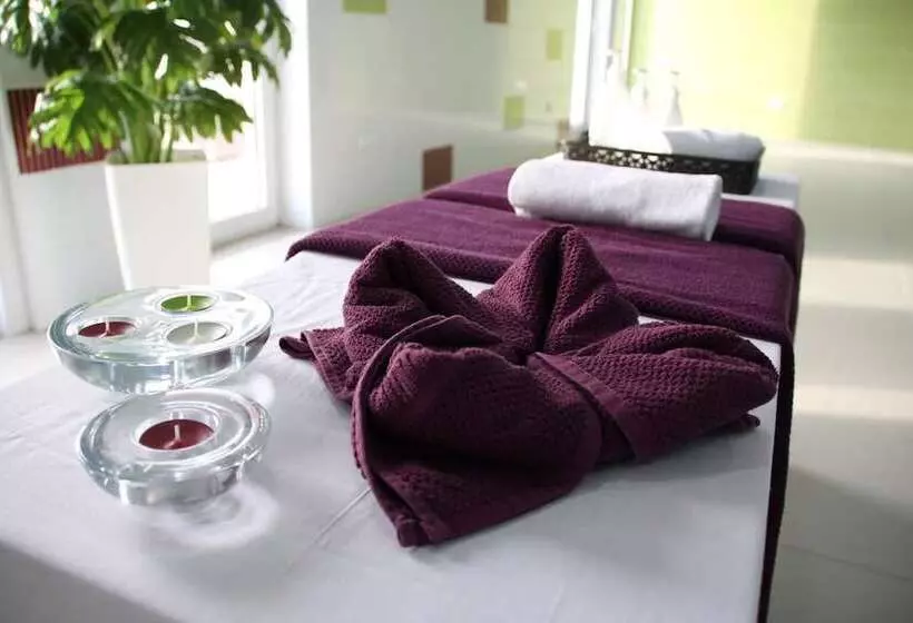 Palace Hotel & Spa Termas Do Bicanho