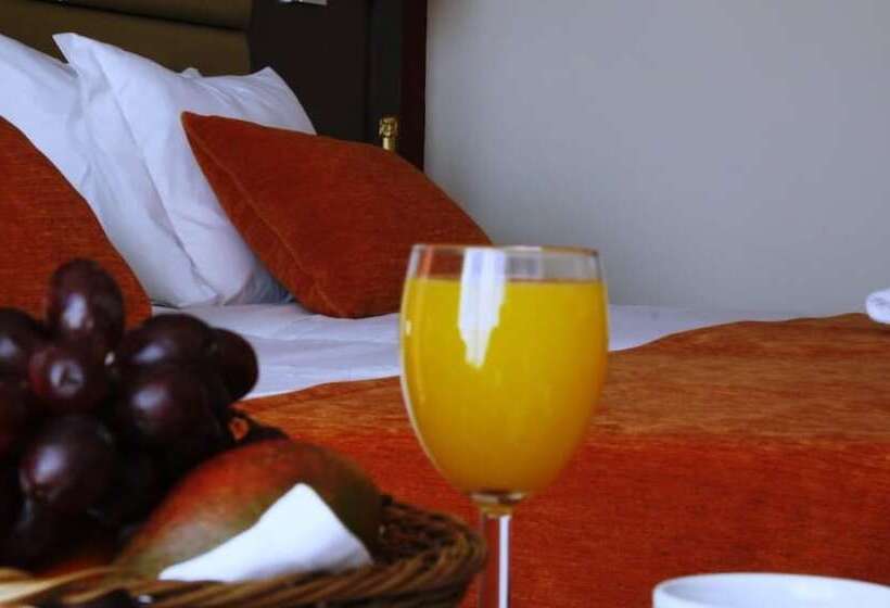 Palace Hotel & Spa Termas Do Bicanho