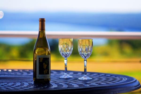 A Cayuga Lakefront Inn   Hotel Alt, Ithaca New York