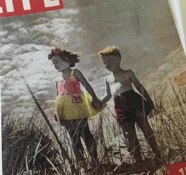 A Cayuga Lakefront Inn   Hotel Alt, Ithaca New York