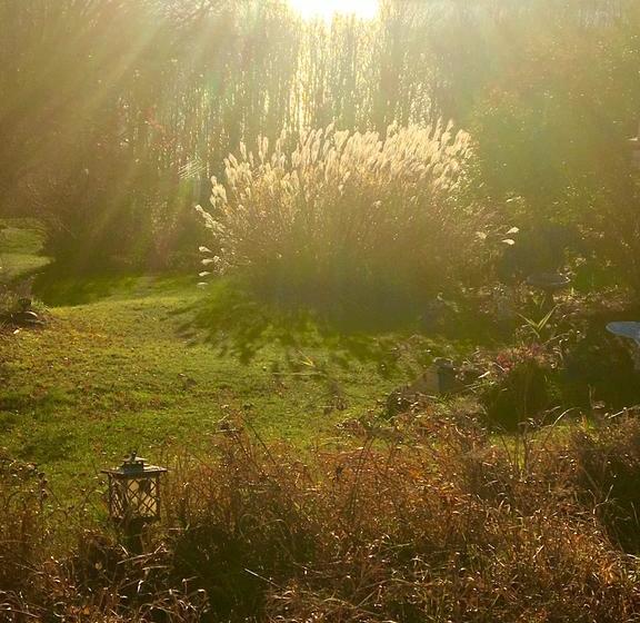 A Cayuga Lakefront Inn   Hotel Alt, Ithaca New York