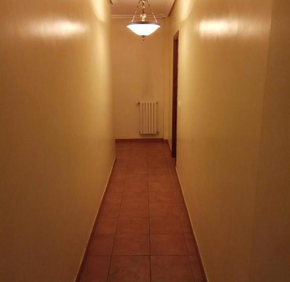 ユースホステル Hostal Restaurante Raton