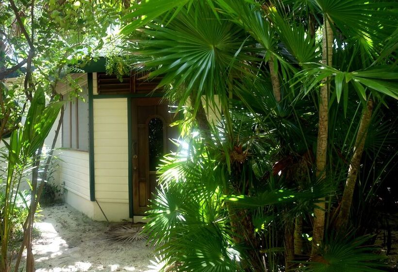 צימר Jungle Cocoon