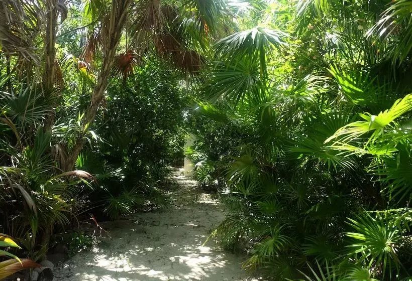 تختخواب و صبحانه Jungle Cocoon