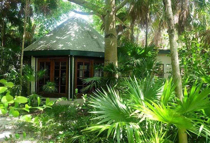 צימר Jungle Cocoon