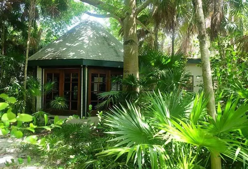 تختخواب و صبحانه Jungle Cocoon