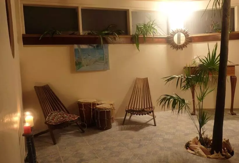 تختخواب و صبحانه Jungle Cocoon