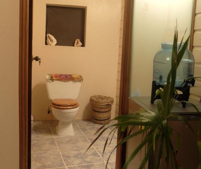 צימר Jungle Cocoon