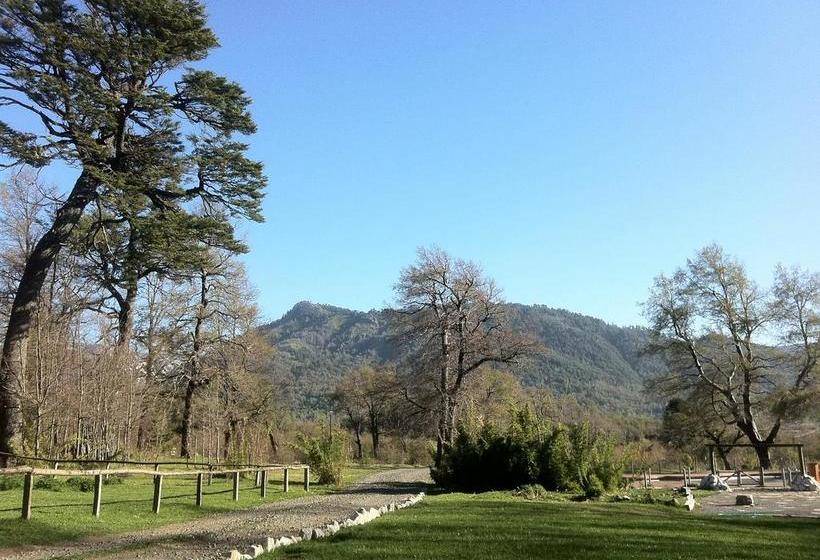 酒店 Boutique Nalcas