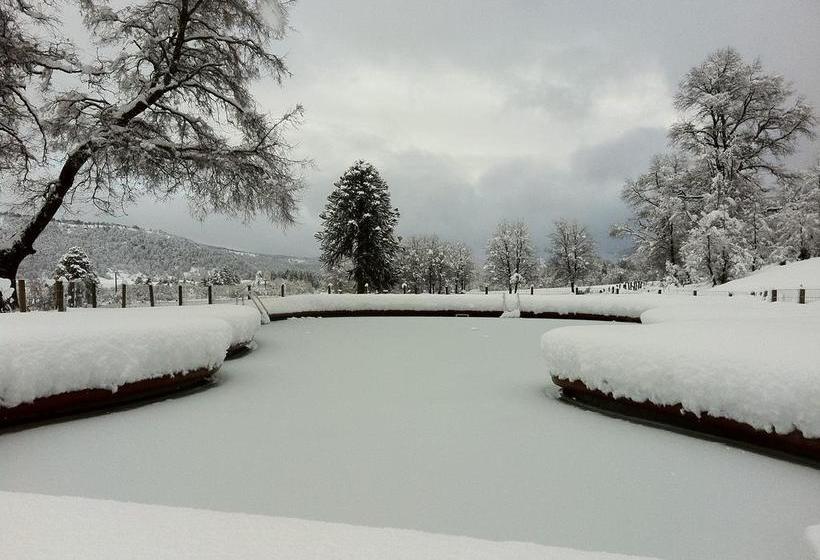 酒店 Boutique Nalcas