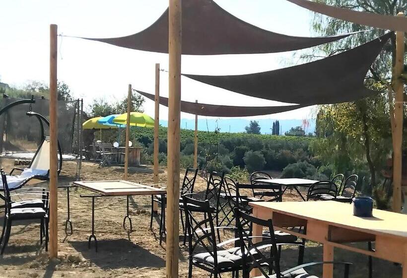 Bed and Breakfast Tenuta Ornella