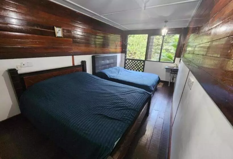 リゾートホテル Rockforest Chalet