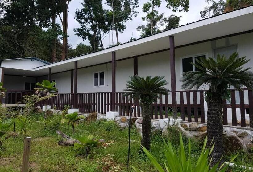 Resort Rockforest Chalet