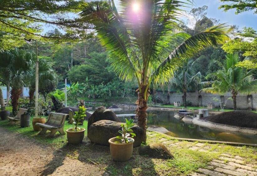 Resort Rockforest Chalet