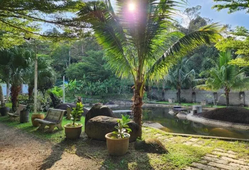 リゾートホテル Rockforest Chalet